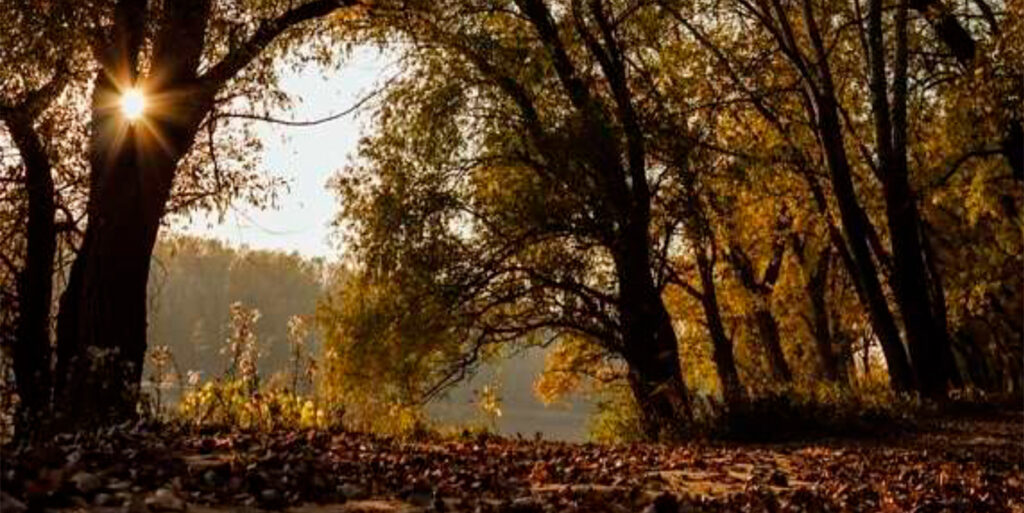 Newsletter AFP Maggio 2025