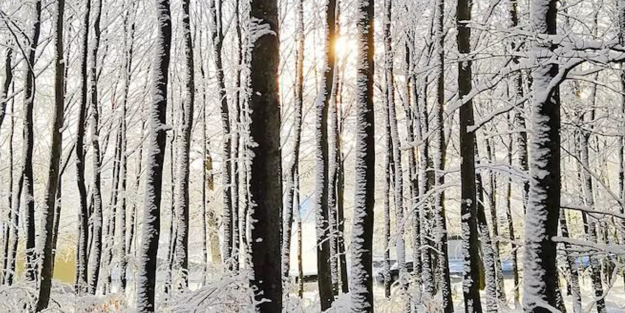 Newsletter di Dicembre 2025