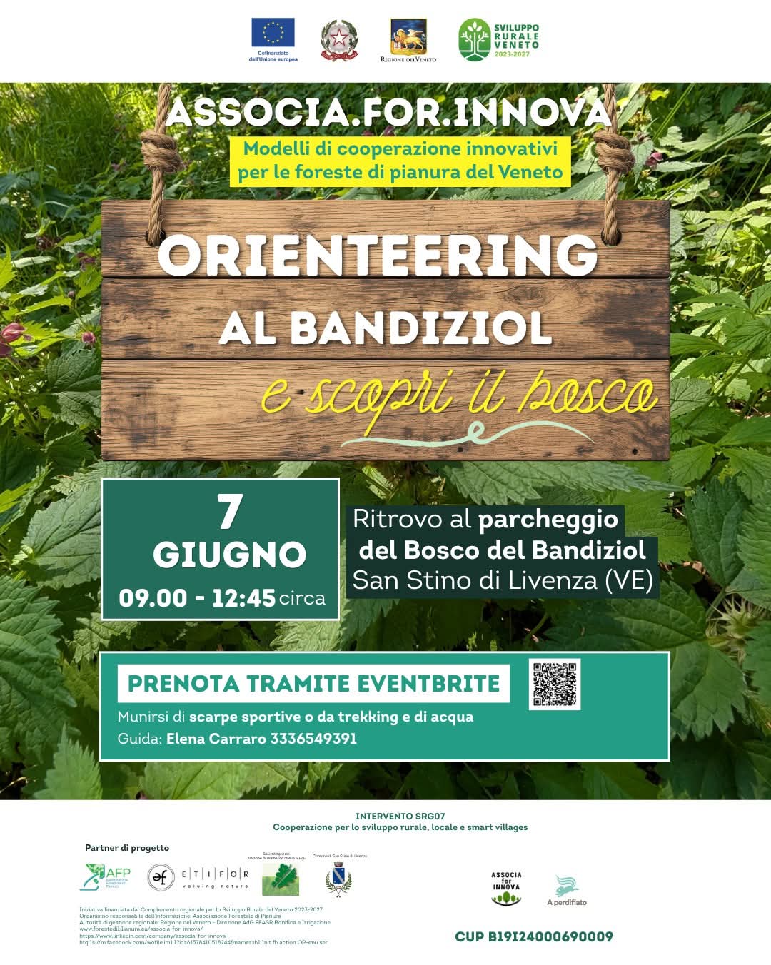 Orienteering al Bandiziol