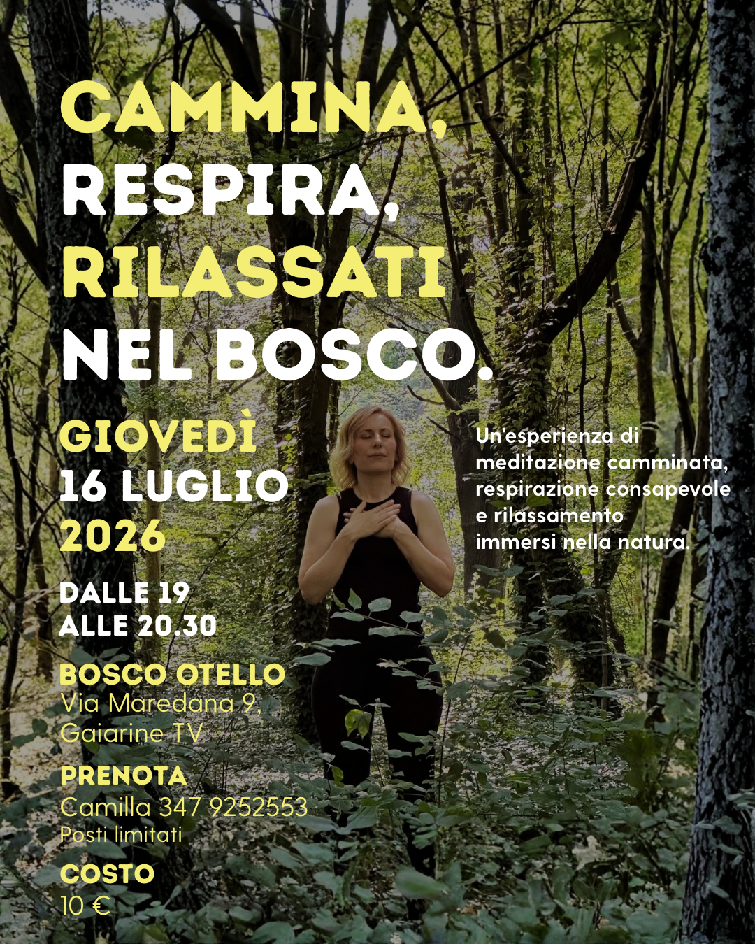 RELAX al TRAMONTO immersi nel BOSCO
