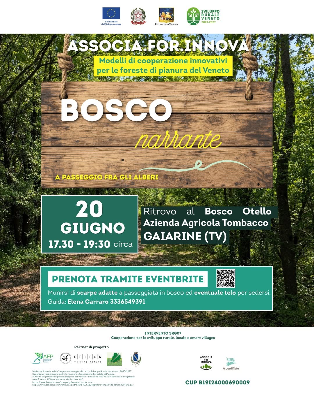 Bosco Narrante: a passeggio fra gli alberi