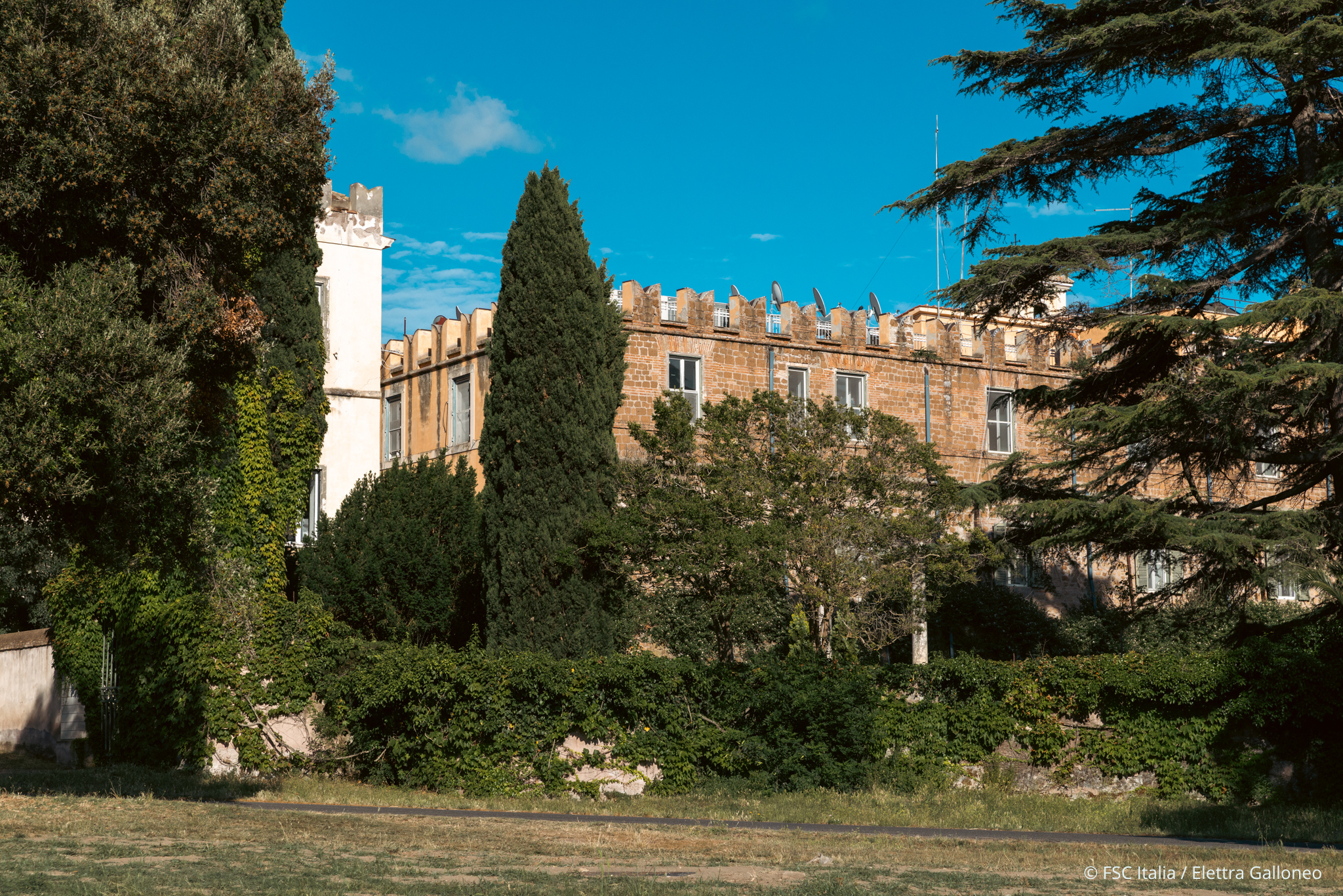 Stati Generali delle Foreste Certificate FSC®